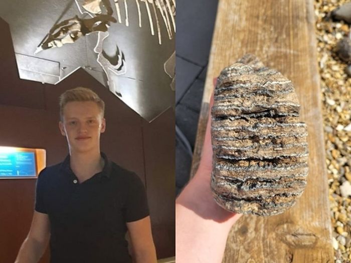 Jack Norton and his mammoth molar teeth fossils.