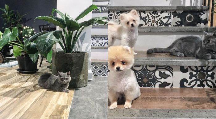 Rumah artis <a href='https://medan.tribunnews.com/tag/rina-nose' title='Rina Nose'>Rina Nose</a>