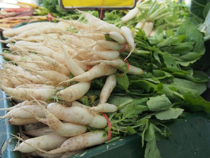 Mengenal Tumbuhan yang Berkembang Biak dengan Umbi Akar dan Contohnya