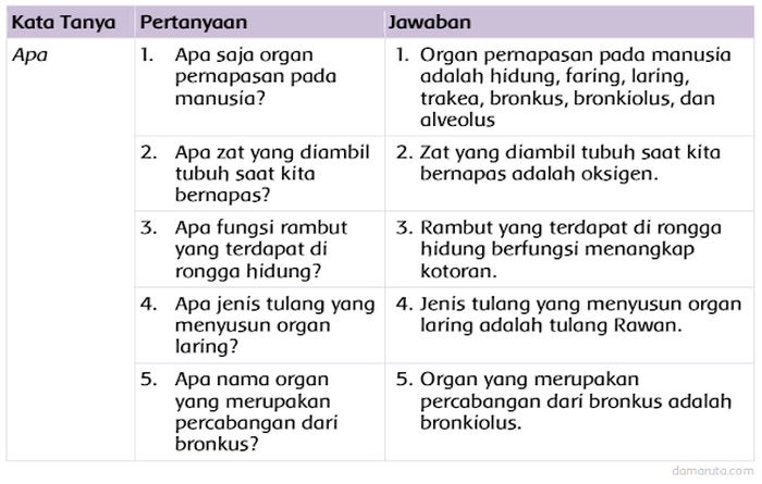 Jawaban Buatlah Pertanyaan Tentang Sistem Pernapasan Pada Manusia Semua Halaman Fotokita