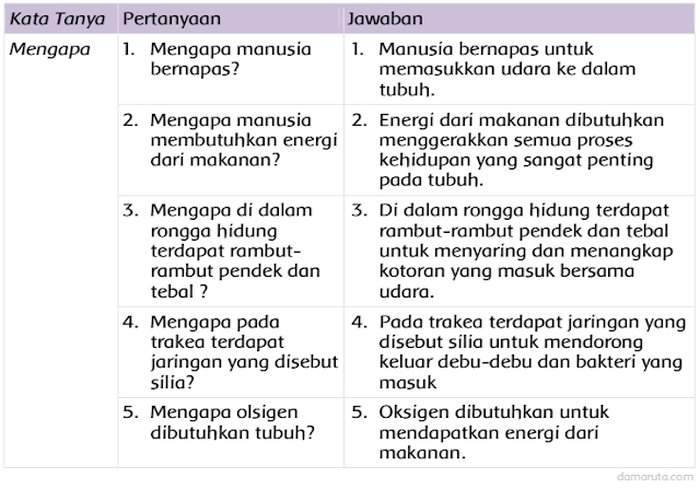 Jawaban Buatlah Pertanyaan Tentang Sistem Pernapasan Pada Manusia Semua Halaman Fotokita