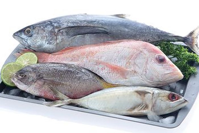 Jenis Ikan Yang Ada Merkuri