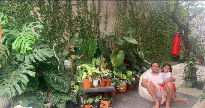 Koleksi tanaman Meisya Siregar yang bikin rumah terasa lebih menyegarkan
