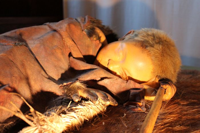 Analisis terhadap kerangka anak Lapedo mengungkapkan bahwa anak itu memiliki dagu dan lengan bawah manusia, tetapi rahang dan tubuh Neanderthal.