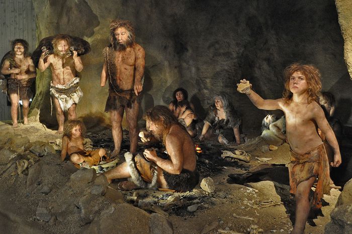 Sebuah diorama di the Neanderthal Museum, Kroasia. Anak Lapedo (kanan) menunjukkan bahwa ia adalah hibrida, hasil kawin silang antara dua spesies. Temuan ini meragukan teori sebelumnya bahwa Neanderthal telah menghilang dari bumi sekitar 30.000 tahun lalu dan digantikan oleh Cro-Magnon, manusia modern awal pertama.