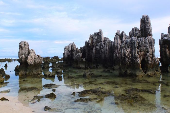 Batu karang di pantai kawasan Nauru, Pasifik Selatan.