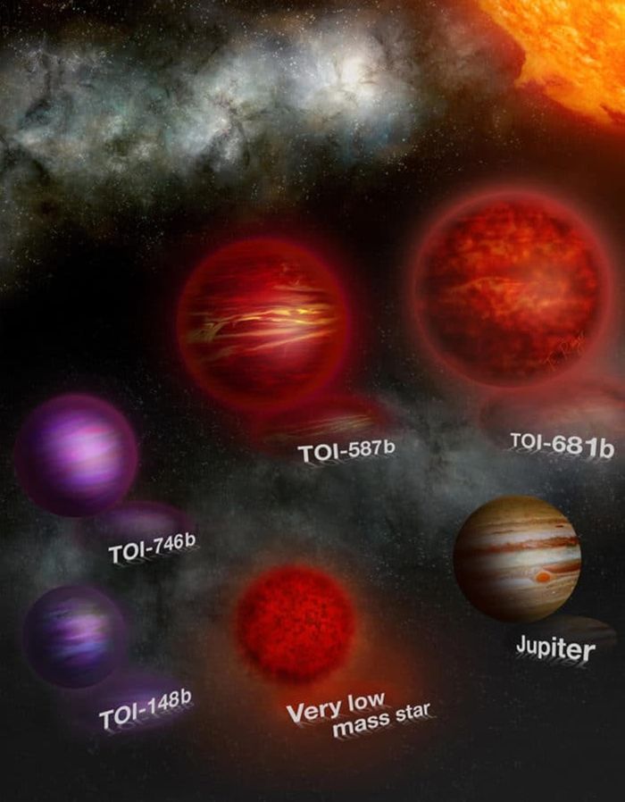 Cette illustration d'artiste représente cinq naines brunes découvertes avec le satellite TESS. Ces objets orbitent tous en 5 à 27 jours proches autour de leur étoile parente beaucoup plus grande.