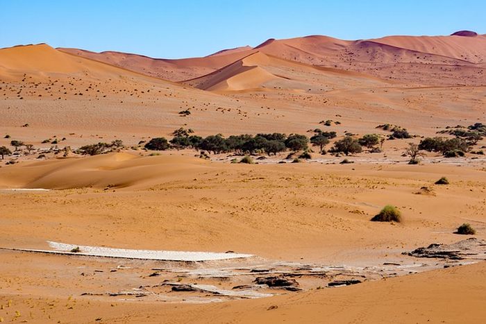 5 Kondisi Iklim di Benua Asia? Begini Penjelasannya - Semua Halaman - Kids