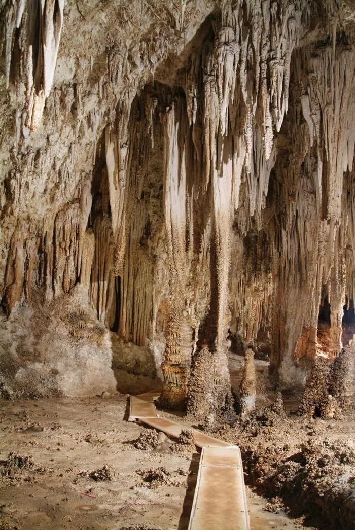 Gua Lechuguilla, Carlsbad Caverns, New Mexico