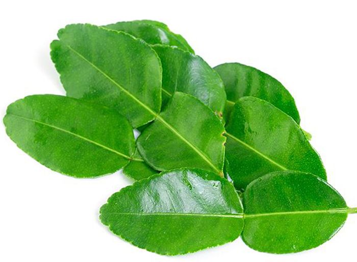 Tips Simpan Daun Jeruk Purut Segar dari Pasar, Gak Akan Gampang