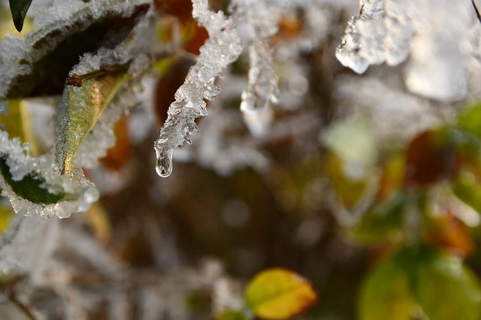 Mengenali Perubahan Wujud Benda dalam Kehidupan Sehari-hari dari