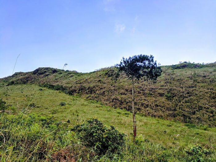 Fakta Menarik Dan Potret Gunung Guntur Yang Memiliki Jalur Pendakian ...