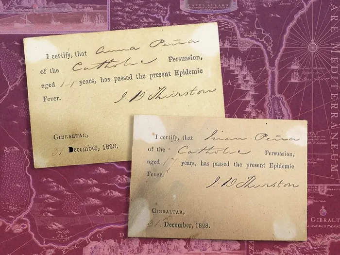 Para penyintas menerima 'paspor vaksin' yang mengesahkan kekebalan mereka, memungkinkan mereka bebas bepergian pada saat sebagian besar populasi ditahan dalam karantina yang ketat. 