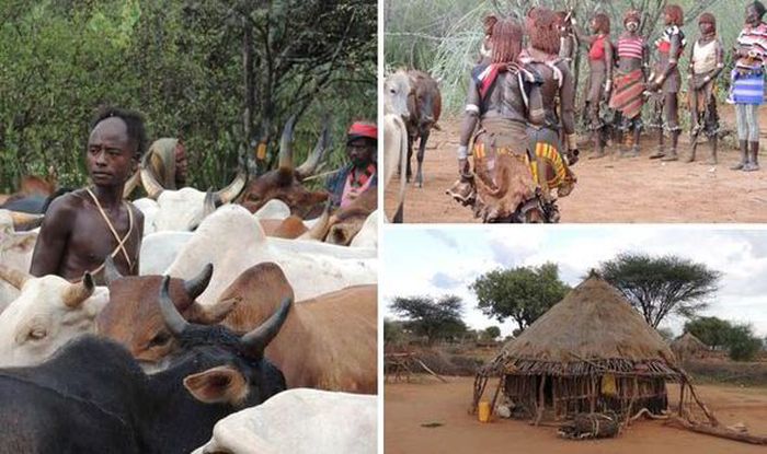 Ritual lompat banteng Suku Hamer di Ethiopia.