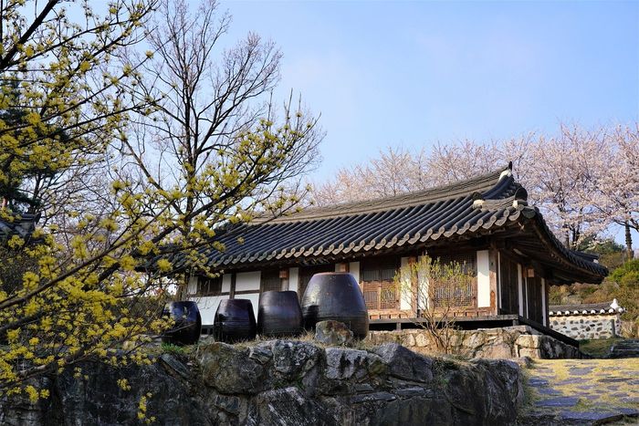 Selain Seoul, Ini 5 Kota di Korea Selatan yang Enggak Kalah Menarik - Kids