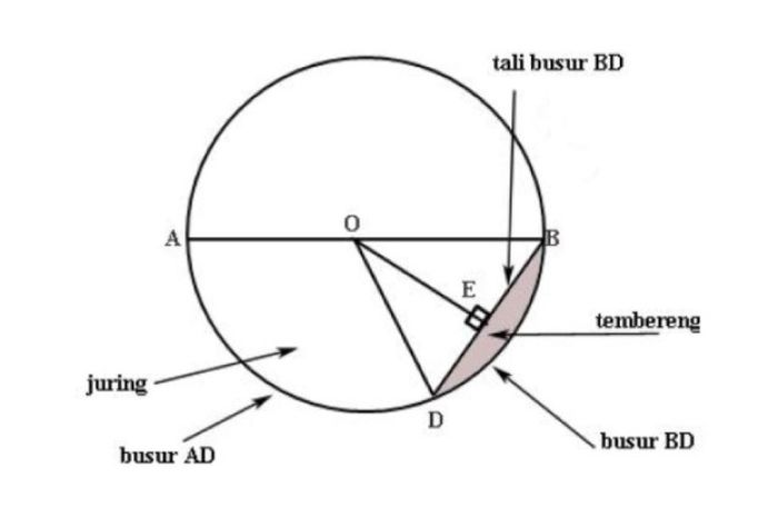 Pengertian, Sifat dan Rumus Bangun Datar Lingkaran, Materi TIU SKD CPNS