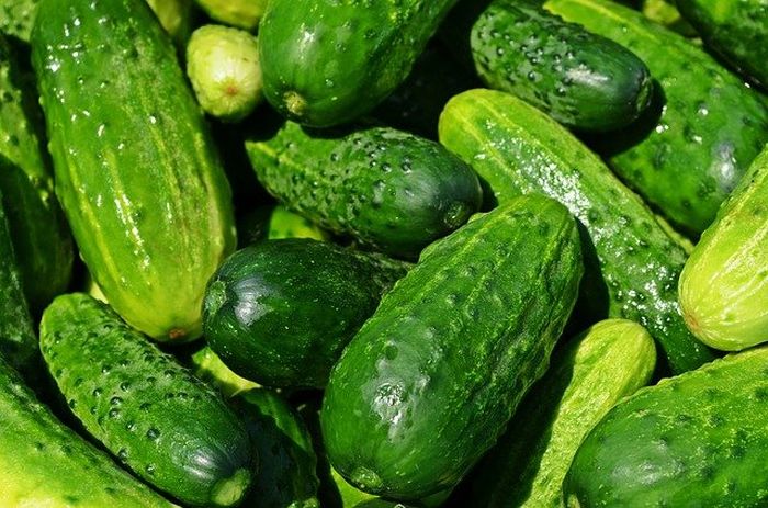 Mentimun dapat memberikan manfaat untuk kaki yang bengkak