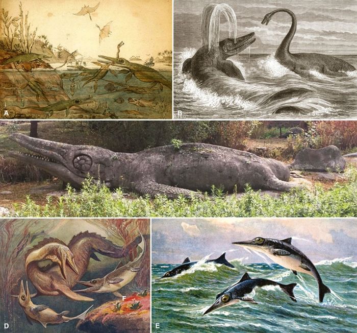 Ilstrasi kehidupan ichthyosaurus dan tentangnya.