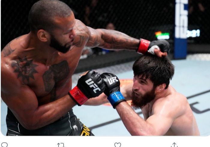 Duel Magomed Ankalaev melawan Thiago Santos di UFC Vegas 50, Minggu (13/3/2022) WIB.