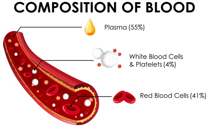 Komponen terbesar yang menyusun plasma darah adalah