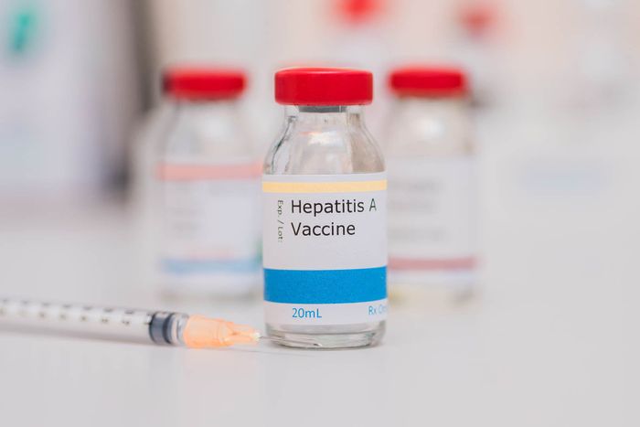 vaksin hepatitis A penting didapatkan orang dewasa.