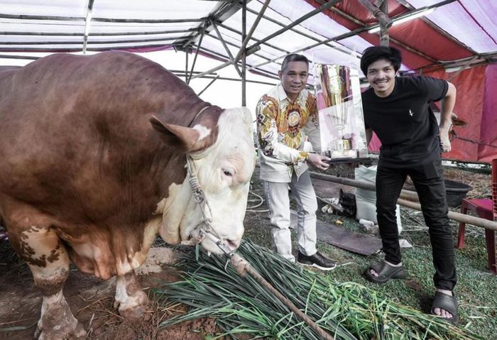 Ada Raffi Ahmad, 3 YouTuber Terkaya di Indonesia Ini Kurban Sapi di