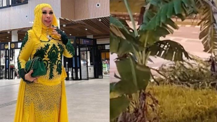 Kedai Datuk Seri Vida sepi diduga karena ada yang sirik dan kirim guna-guna di pohon pisang