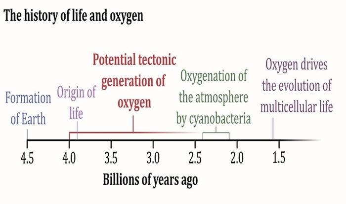 太平洋深部で新たな酸素源を発見、生命の起源に疑問を呈