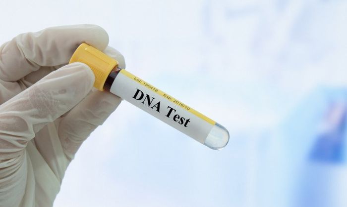 Ilustrasi tes DNA 