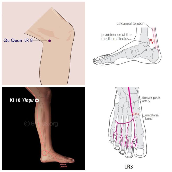Titik untuk ginjal dan hati: KI-3, KI-10, LR3, LR-8