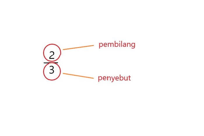Apa Hubungan Bilangan Desimal dan Pecahan? Materi Kelas 4 SD Tema 2 Bobo