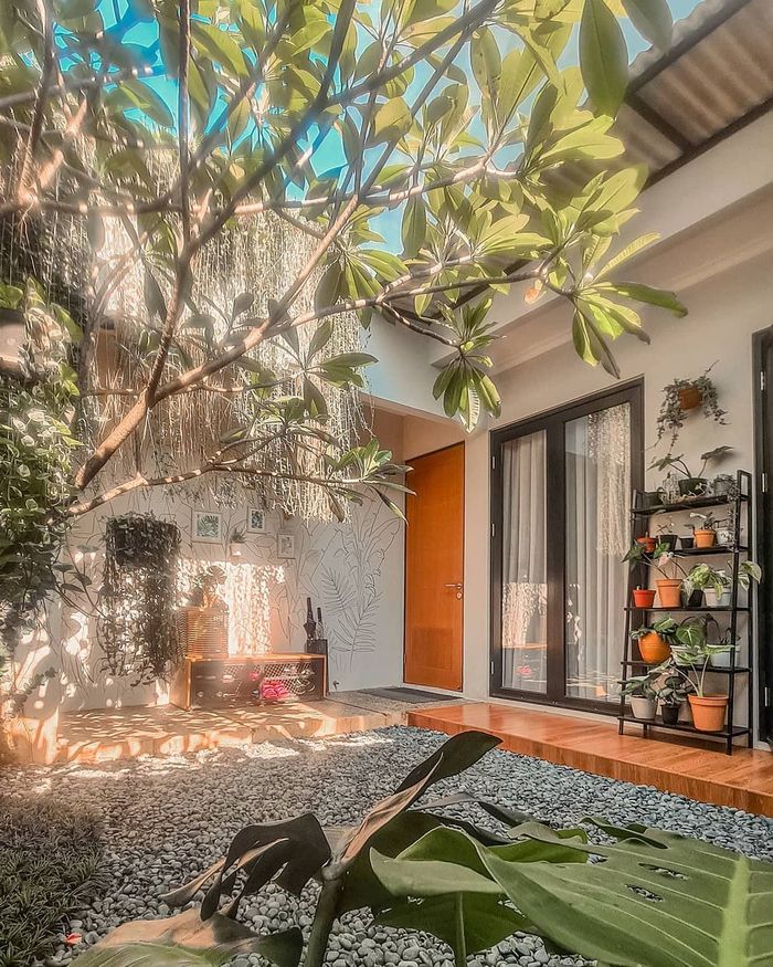 Dekorasinya Penuh Tanaman Segar, Desain Dapur Menyatu dengan Ruang Cuci