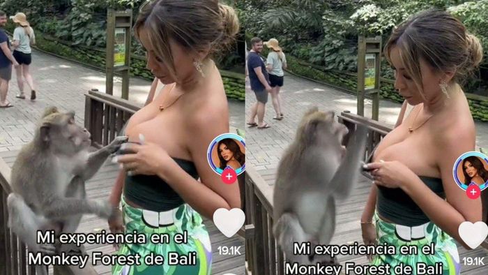 Paula Manzanal nyaris dicakar monyet