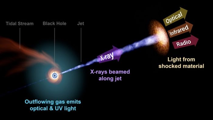 Las observaciones de seguimiento de TDE revelaron luminosidades extremadamente altas en todo el espectro electromagnético, desde rayos X hasta milímetros y radio.