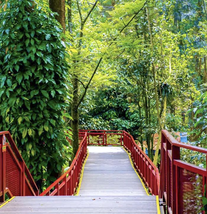 Cimory Riverside Buka Jam Berapa? Ini Spot Foto Aesthetic Tempat Wisata ...