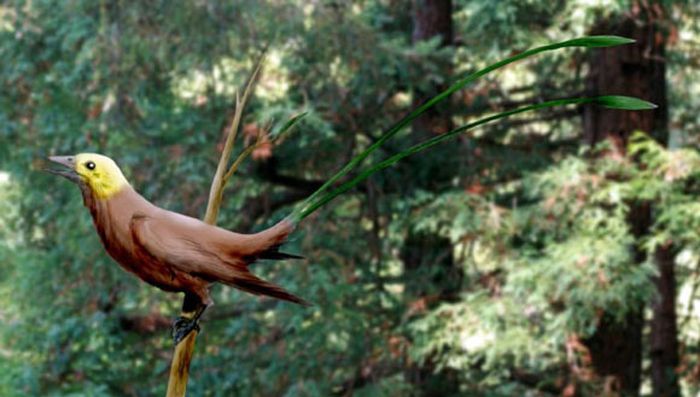 Rekonstruksi kehidupan burung Konfusiusnithiform Kapur Awal Eoconfuciusornis zhengi.