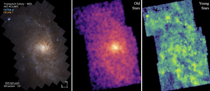 Di sebelah kiri adalah gambar komposit Galaksi Segitiga yang dibuat dengan melapisi gambar individual yang diambil oleh Teleskop Luar Angkasa Hubble sebagai bagian dari survei PHATTER.  Distribusi bintang tua dan muda dalam wilayah survei PHATTER (masing-masing tengah dan kanan) menunjukkan struktur kontras dalam segitiga.