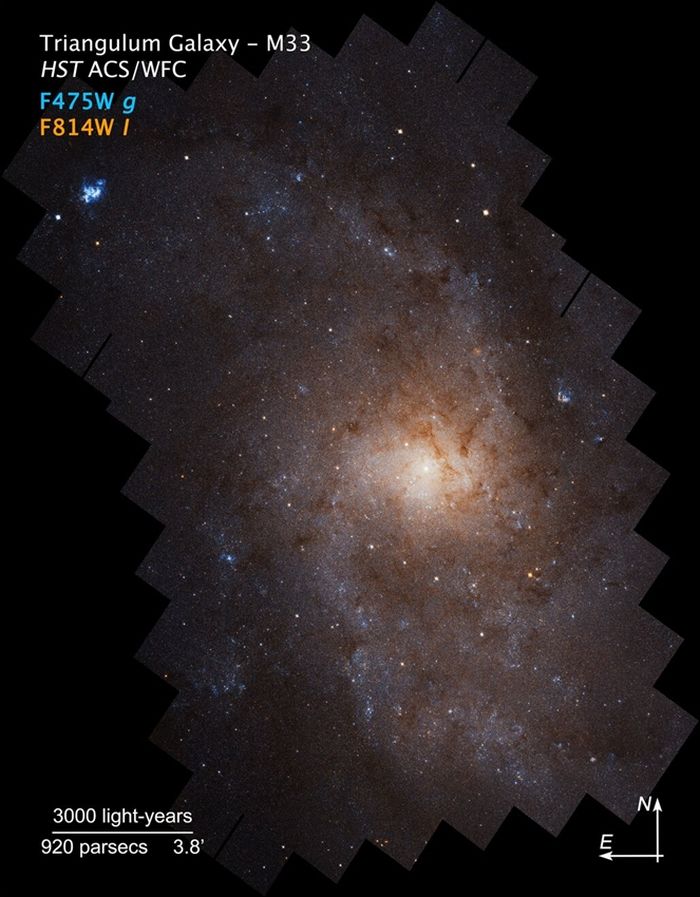 Gambar komposit Galaksi Segitiga yang dibuat dengan melapisi gambar individu yang diambil oleh Teleskop Luar Angkasa Hubble sebagai bagian dari survei PHATTER.