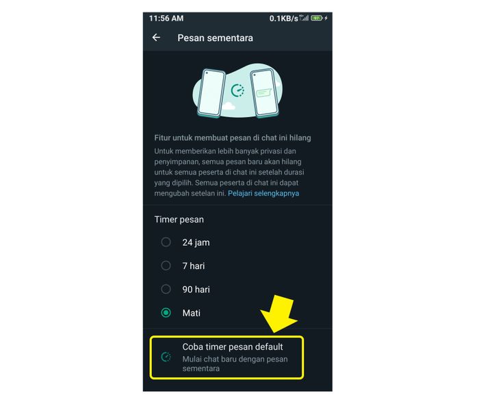 Pilihan Coba timer pesan deflaut untuk hapus pesan otomatis di WhatsApp.