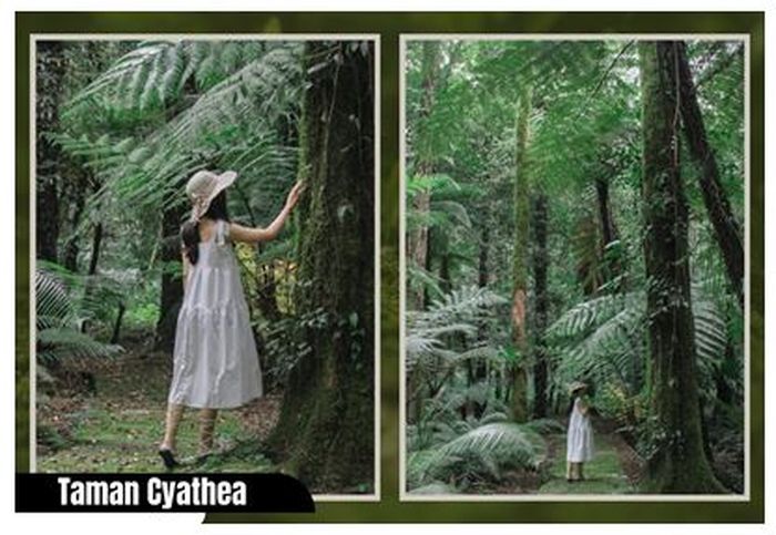 Spot Foto Kebun Raya Bali Paling Instagramable