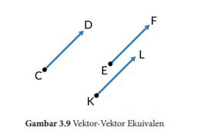 Terminologi, Notasi, dan Jenis Vektor, Materi Bab 3 Matematika Kelas X