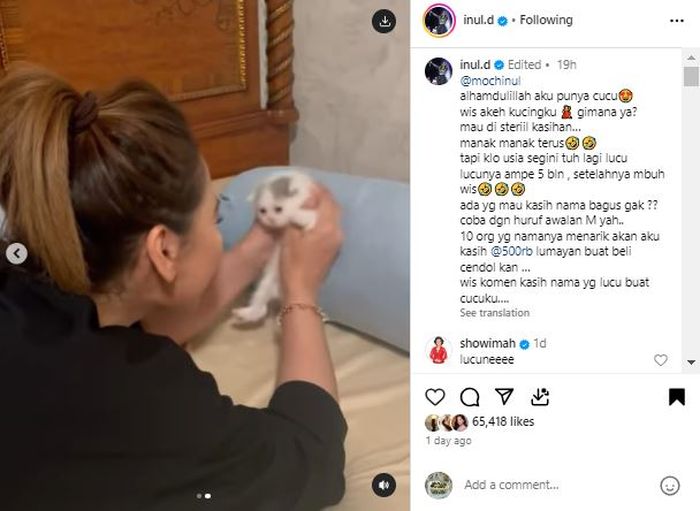 Inul Daratista perkenalkan cucu baru