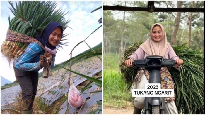 Pedangdut banting setir jadi petani