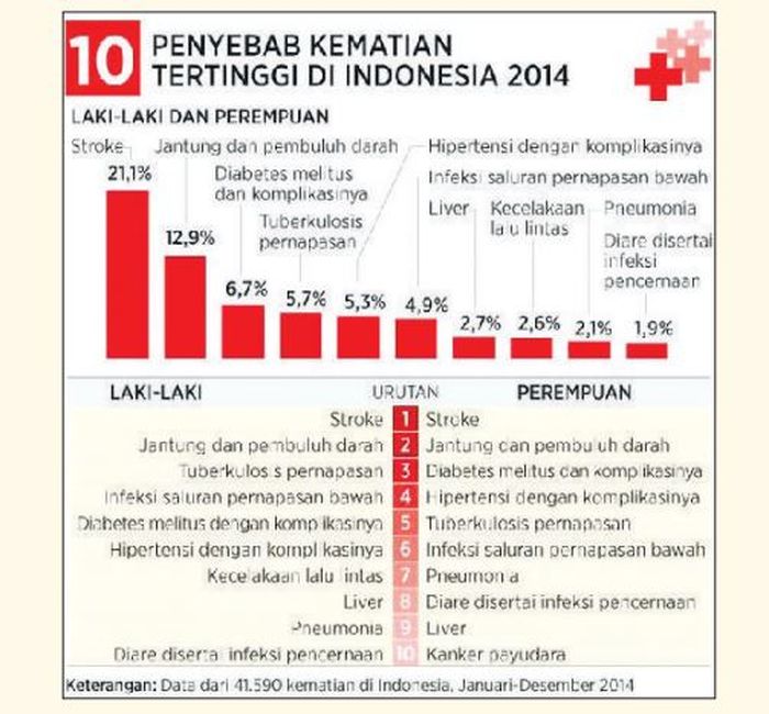 Soal Aktivitas 5.1 bab 5 Biologi kelas XI SMA Kurikulum Merdeka