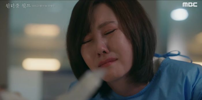 drama Korea Wonderful World