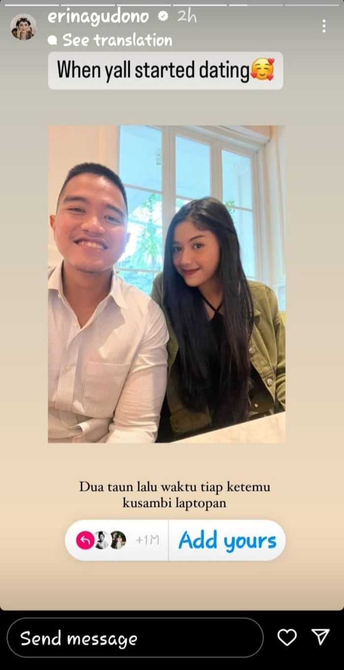 Unggahan IG Story Erina Gudono.