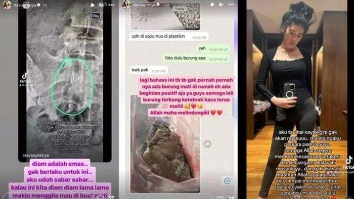 Curhat Stevie Agnecya disantet