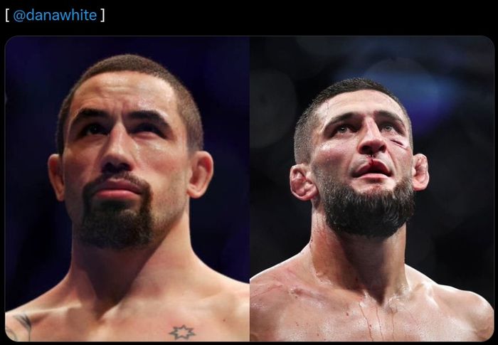 Jdwal bentrokan Khamzat Chimaev lawan Si Malaikat Maut, Robert Whittaker diresmikan Bos UFC, Dana White.