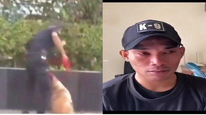 Tribunpekanbaru.com
Nasarius Saptam Plaza Indonesia Klarifikasi Soal Aksi Pukul Anjing