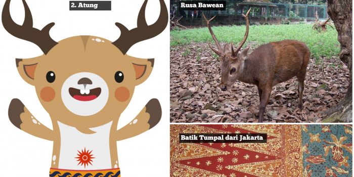 1050 Gambar Burung Cendrawasih Untuk Kolase Paling Unik Gratis